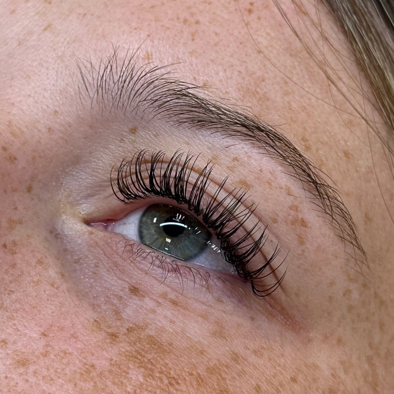 Wimperextensions op een blauwgrijs oog, sproeten op de huid